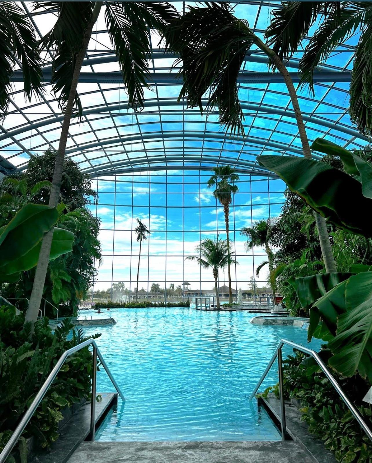 Mona Apartment Taxi#Airport #Parking#Bucharest#Therme Otopeni Eksteriør billede